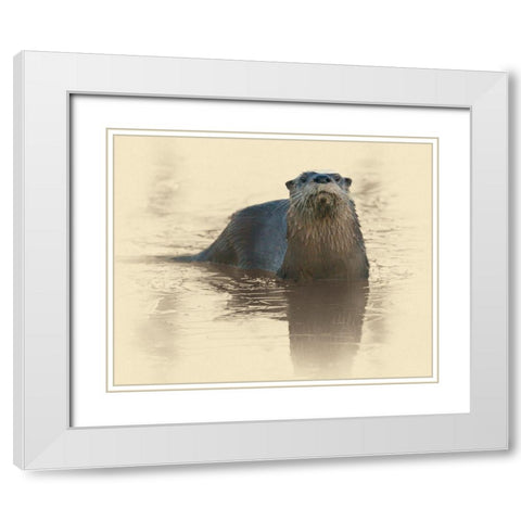 Otter Under Ice White Modern Wood Framed Art Print with Double Matting by Brown, Jim