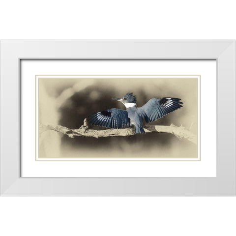 Kingfisher II White Modern Wood Framed Art Print with Double Matting by Brown, Jim