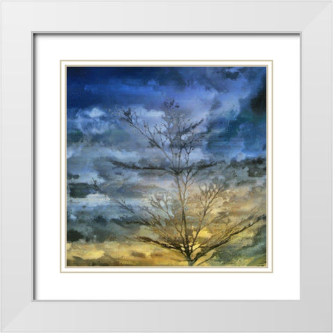 Marble Skies White Modern Wood Framed Art Print with Double Matting by Bolokofsky, Ronald