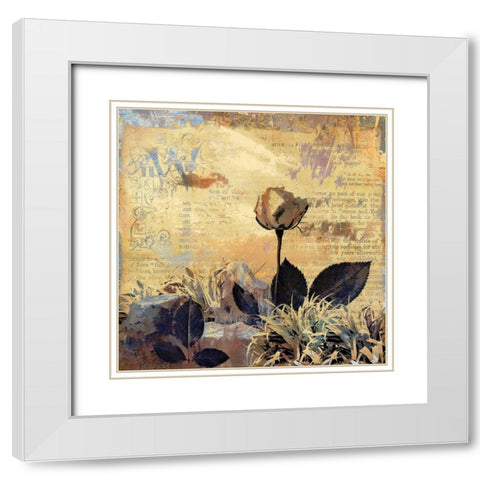 Prairie Rose White Modern Wood Framed Art Print with Double Matting by Bolokofsky, Ronald