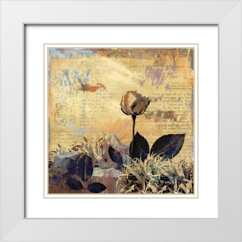 Prairie Rose White Modern Wood Framed Art Print with Double Matting by Bolokofsky, Ronald