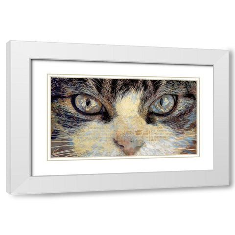 Cat Eyes White Modern Wood Framed Art Print with Double Matting by Bolokofsky, Ronald