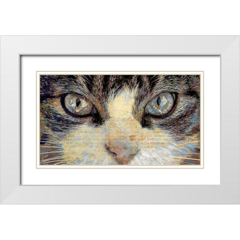 Cat Eyes White Modern Wood Framed Art Print with Double Matting by Bolokofsky, Ronald