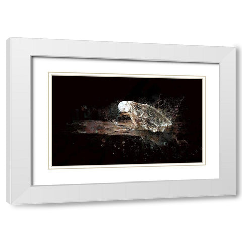 Fish Out of Water White Modern Wood Framed Art Print with Double Matting by Bolokofsky, Ronald