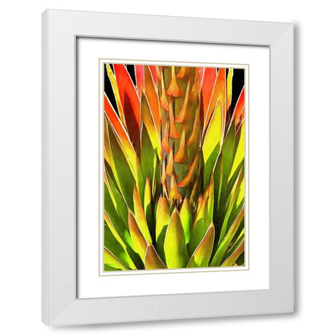 Agave I White Modern Wood Framed Art Print with Double Matting by Bolokofsky, Ronald