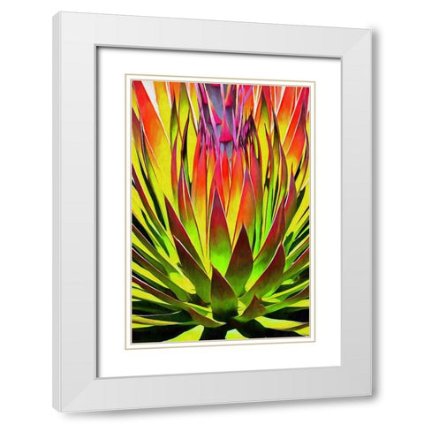 Agave II White Modern Wood Framed Art Print with Double Matting by Bolokofsky, Ronald