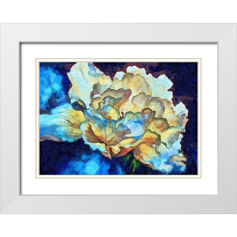 Summer Bloom I White Modern Wood Framed Art Print with Double Matting by Bolokofsky, Ronald