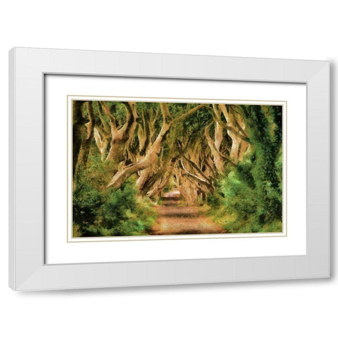 Tree Lane White Modern Wood Framed Art Print with Double Matting by Bolokofsky, Ronald