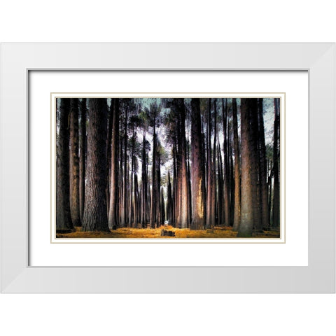 Into the Forest White Modern Wood Framed Art Print with Double Matting by Bolokofsky, Ronald
