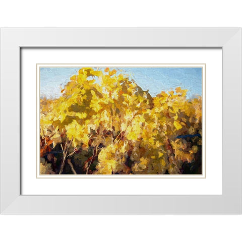 On the Vine White Modern Wood Framed Art Print with Double Matting by Bolokofsky, Ronald