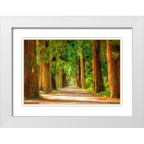 Shady Tree Lane III White Modern Wood Framed Art Print with Double Matting by Bolokofsky, Ronald