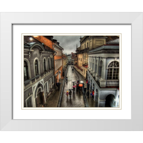 Rainy Streets of Vienna White Modern Wood Framed Art Print with Double Matting by Bolokofsky, Ronald