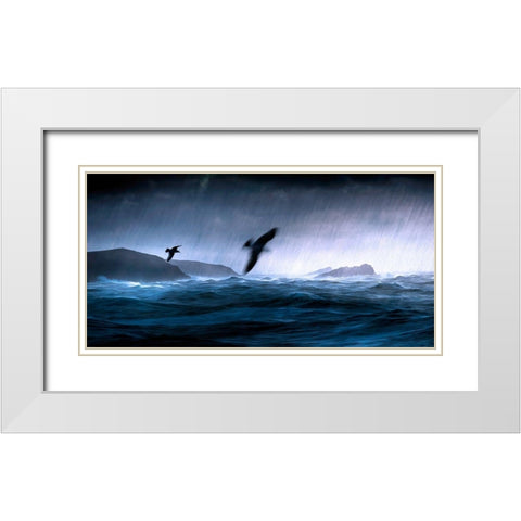 Flying Through the Storm White Modern Wood Framed Art Print with Double Matting by Bolokofsky, Ronald