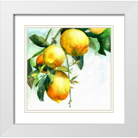 Lemons White Modern Wood Framed Art Print with Double Matting by Bolokofsky, Ronald