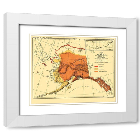 Alaska Bear Habitat - Bien 1882 White Modern Wood Framed Art Print with Double Matting by Bien