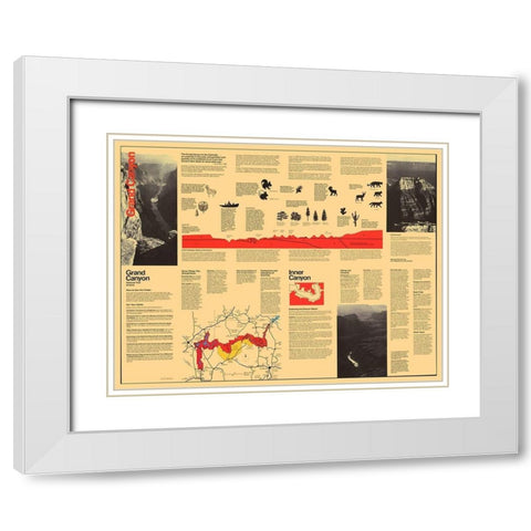 Grand Canyon Visitors Brochure - USPS 1977 White Modern Wood Framed Art Print with Double Matting by Park Services