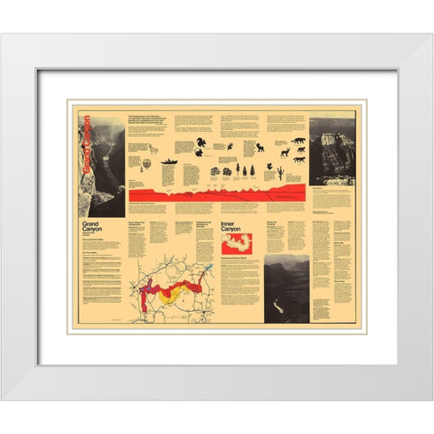 Grand Canyon Visitors Brochure - USPS 1977 White Modern Wood Framed Art Print with Double Matting by Park Services