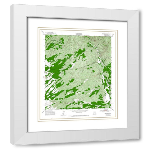 Lewis Springs Arizona Quad - USGS 1952 White Modern Wood Framed Art Print with Double Matting by USGS