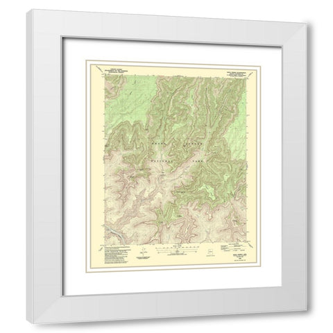 Shiva Temple Arizona Quad - USGS 1988 White Modern Wood Framed Art Print with Double Matting by USGS