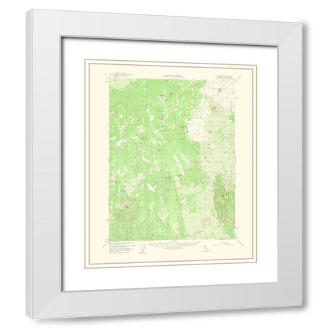Hambone California Quad - USGS 1963 White Modern Wood Framed Art Print with Double Matting by USGS