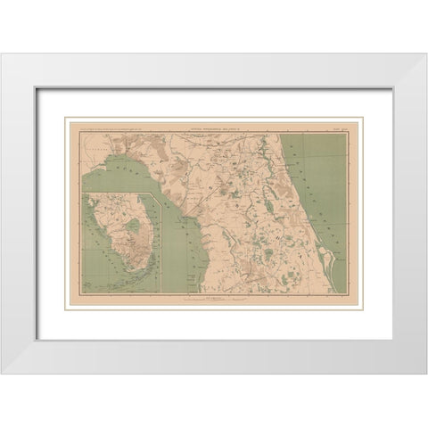 Florida - Lamont 1894 White Modern Wood Framed Art Print with Double Matting by Lamont