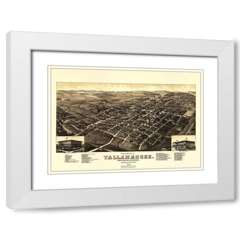 Tallahassee Florida - Beck 1885 White Modern Wood Framed Art Print with Double Matting by Beck