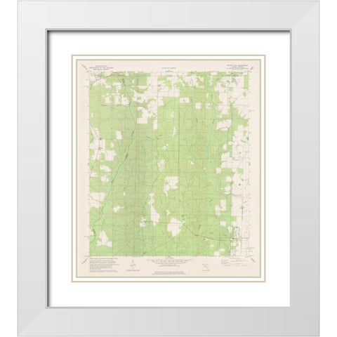 Walnut Hill Florida Quad - USGS 1978 White Modern Wood Framed Art Print with Double Matting by USGS
