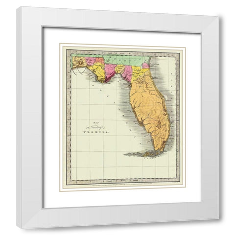 Florida - Burr 1834 White Modern Wood Framed Art Print with Double Matting by Burr