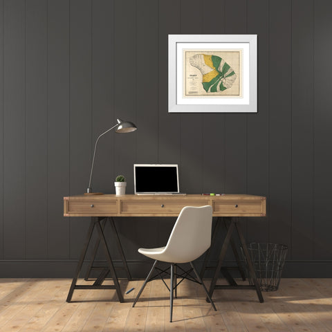 Lanai County Hawaii - Brown 1878  White Modern Wood Framed Art Print with Double Matting by Brown