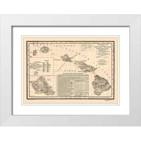 Hawaii - Linton 1893  White Modern Wood Framed Art Print with Double Matting by Linton