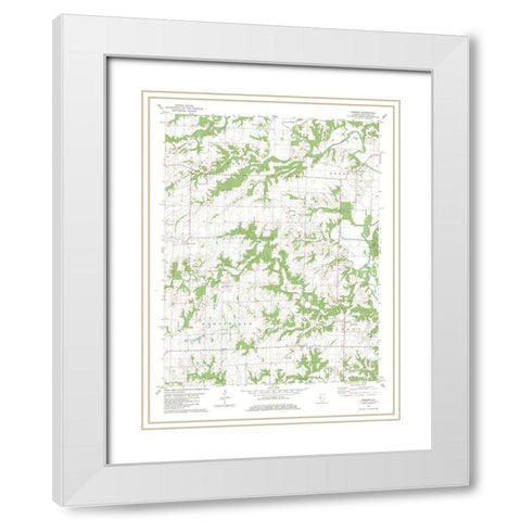 Camden Illinois Quad - USGS 1981 White Modern Wood Framed Art Print with Double Matting by USGS