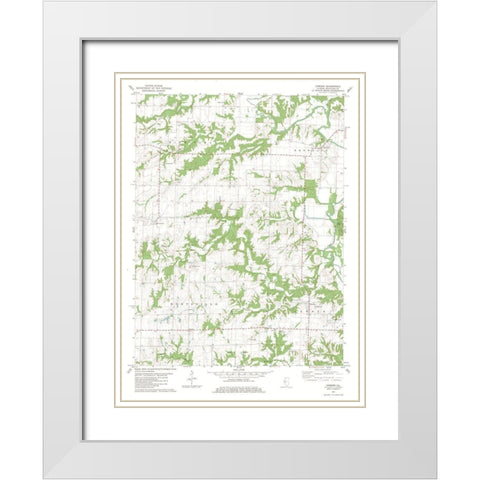 Camden Illinois Quad - USGS 1981 White Modern Wood Framed Art Print with Double Matting by USGS