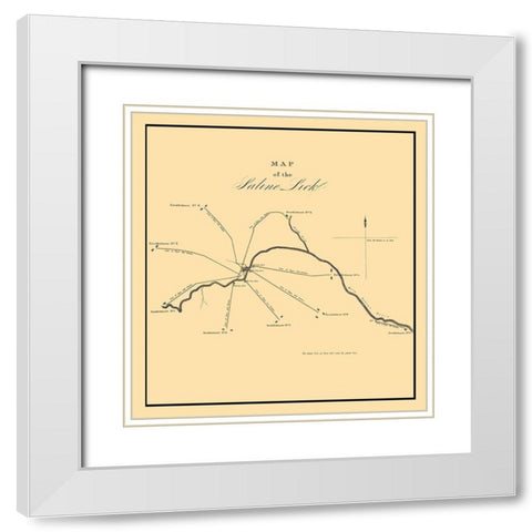 Saline Lick Illinois - Gayle 1834 White Modern Wood Framed Art Print with Double Matting by Gayle