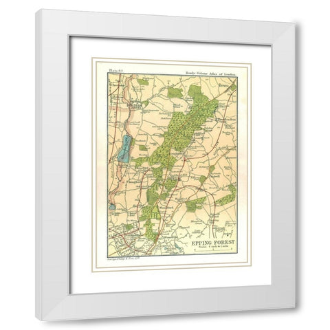 Epping Forest London England - Philip 1904 White Modern Wood Framed Art Print with Double Matting by Philip