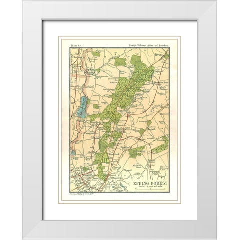 Epping Forest London England - Philip 1904 White Modern Wood Framed Art Print with Double Matting by Philip
