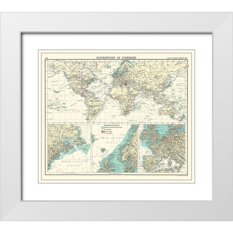 Global Distribution of Fisheries - Bartholomew White Modern Wood Framed Art Print with Double Matting by Bartholomew