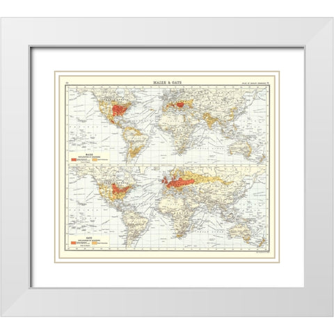 Global Maize Oats - Bartholomew 1907 White Modern Wood Framed Art Print with Double Matting by Bartholomew