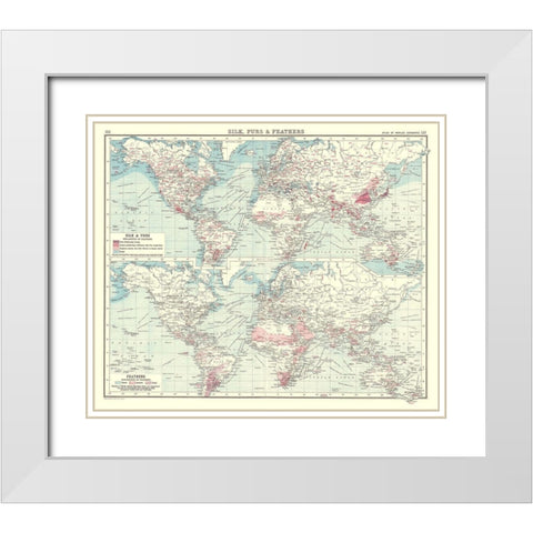 Global Silk Furs Feathers - Bartholomew 1907 White Modern Wood Framed Art Print with Double Matting by Bartholomew