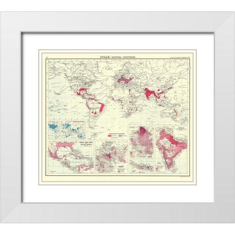 Global Sugar Growing Countries - Bartholomew 1907 White Modern Wood Framed Art Print with Double Matting by Bartholomew