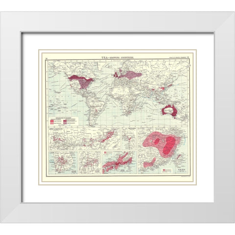 Global Tea Growing Countries - Bartholomew 1907 White Modern Wood Framed Art Print with Double Matting by Bartholomew
