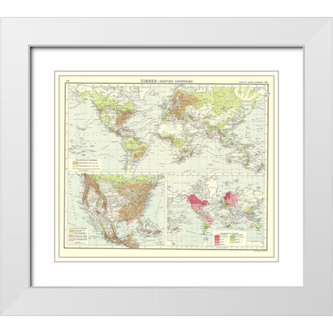 Global Timber Growing Countries - Bartholomew 1907 White Modern Wood Framed Art Print with Double Matting by Bartholomew