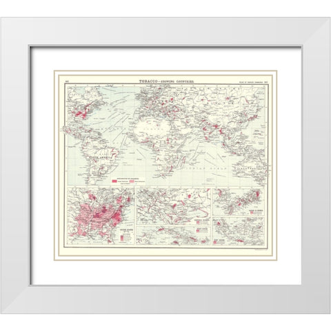 Global Tobacco Growing Countries - Bartholomew White Modern Wood Framed Art Print with Double Matting by Bartholomew