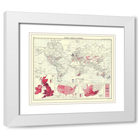 Global Wool Growing Countries - Bartholomew 1907 White Modern Wood Framed Art Print with Double Matting by Bartholomew