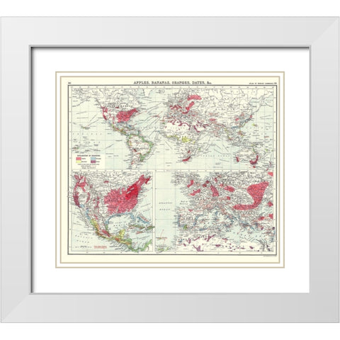 Apples Bananas Oranges Dates World - Newnes 1907 White Modern Wood Framed Art Print with Double Matting by Newnes