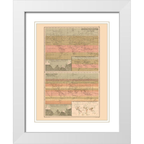 Zoological Chart World - Black 1867 White Modern Wood Framed Art Print with Double Matting by Black