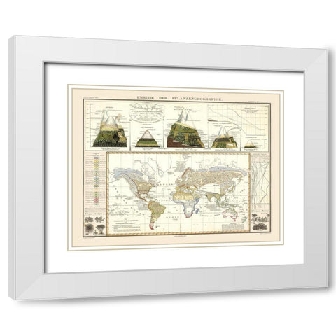 World Plant Geography - Perthes 1838 White Modern Wood Framed Art Print with Double Matting by Perthes