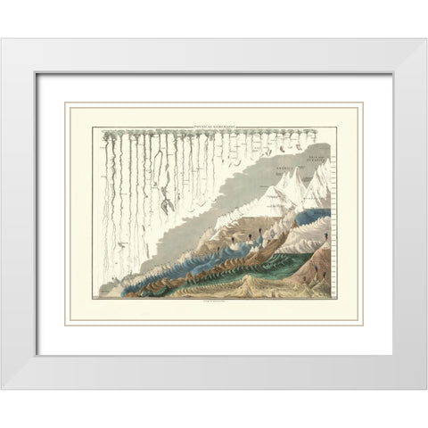 Physical Geography World - Black White Modern Wood Framed Art Print with Double Matting by Black