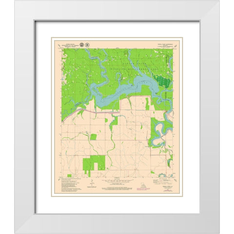 Powell Point Louisiana Quad - USGS 1972 White Modern Wood Framed Art Print with Double Matting by USGS