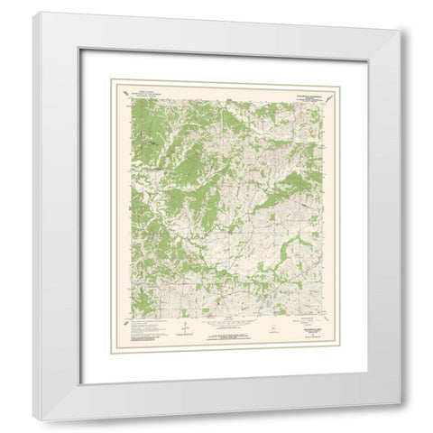 Zeiglerville Mississippi Quad - USGS 1964 White Modern Wood Framed Art Print with Double Matting by USGS