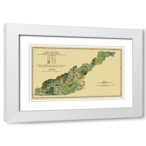 Western North Carolina Forest Conditions 1909 White Modern Wood Framed Art Print with Double Matting by USFS